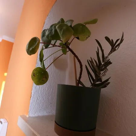 Apartment Beach * Сплит