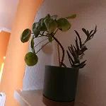 Apartment Beach * Split
